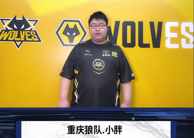 显著提升新